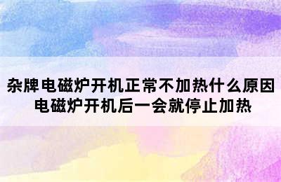 杂牌电磁炉开机正常不加热什么原因 电磁炉开机后一会就停止加热